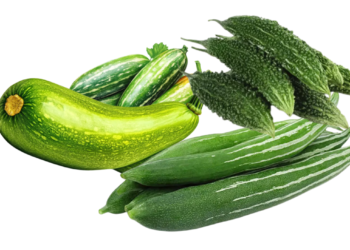 The Great Gourd Chronicles