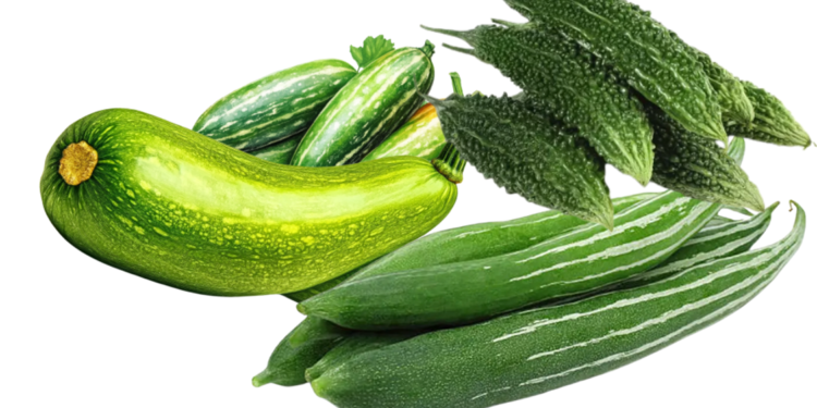 The Great Gourd Chronicles