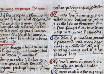 Llibre de Sent Soví: A Window into Medieval Culinary Art