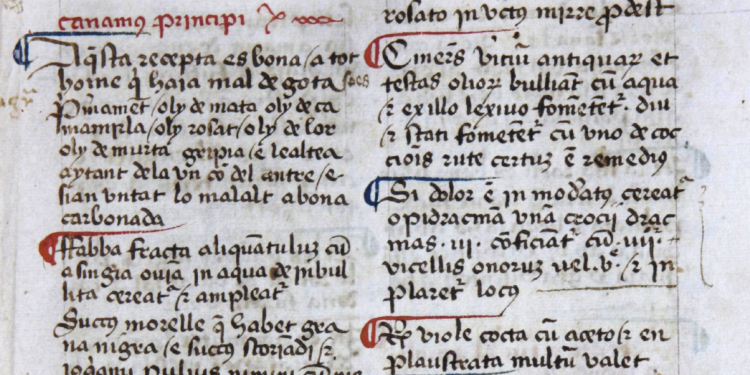 Llibre de Sent Soví: A Window into Medieval Culinary Art