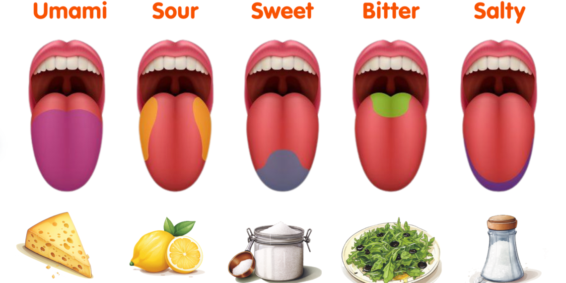 Umami and Flavour Balancing: The Fifth Taste