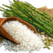 Rice – A World of Texture, Culture, and Variety
