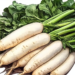 Mooli: The Humble Daikon with a Bold Personality