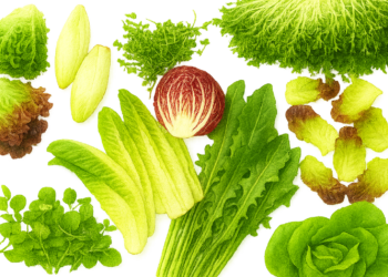 Preparing Salad Greens Properly: A Beginner-Friendly Guide